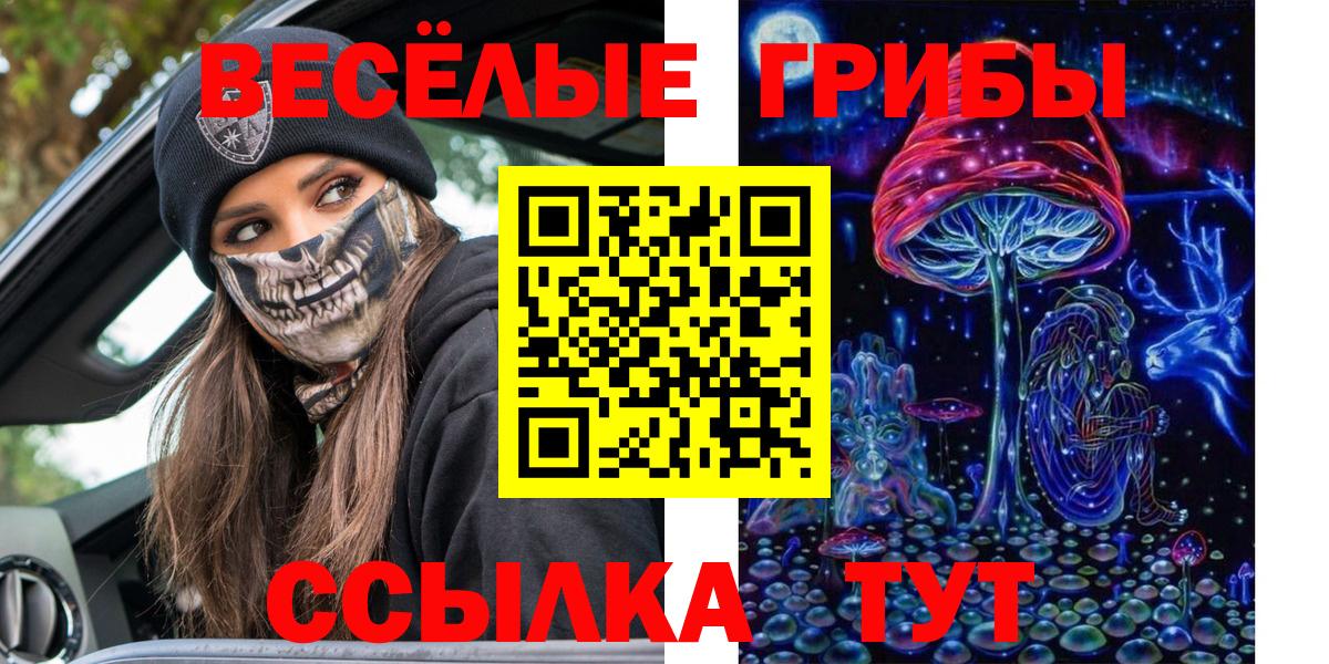 Галлюциногенные грибы Cubensis Абинск